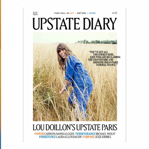 Upstate Diary magazine, no. 21