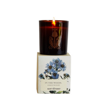 Load image into Gallery viewer, The Quiet Botanist in the weeds scented candle