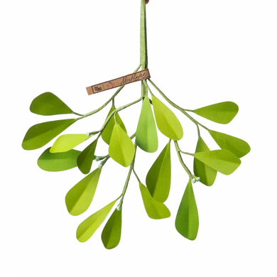 The Green Vase mistletoe