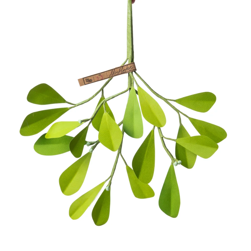The Green Vase mistletoe