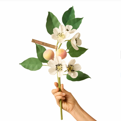 The Green Vase pear branch