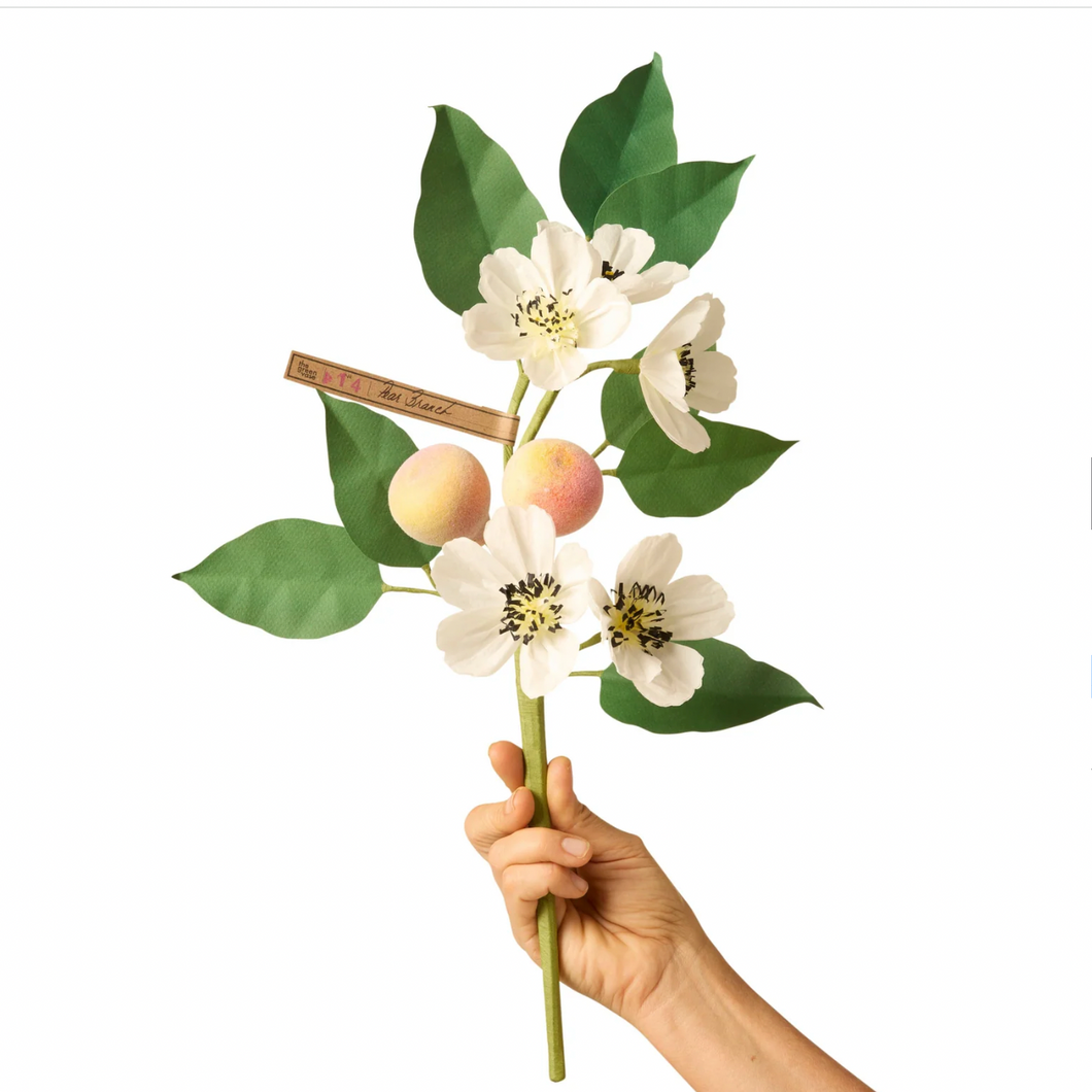 The Green Vase pear branch