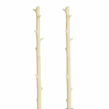 Load image into Gallery viewer, Stick Candle hickory branch beeswax candle, pair