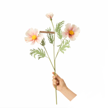 Load image into Gallery viewer, The Green Vase cosmo stem