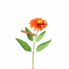 Load image into Gallery viewer, The Green Vase zinnia stem