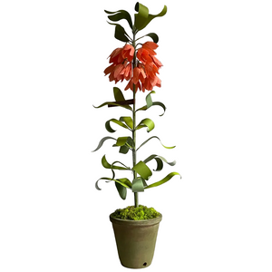 can you plant fritillaria in pots The Green Vase potted imperial fritillaria