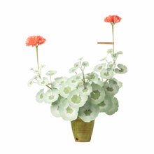 Load image into Gallery viewer, The Green Vase potted geranium
