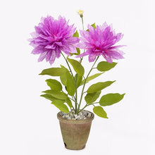 Load image into Gallery viewer, The Green Vase potted dahlia