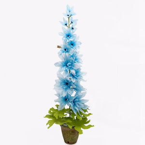 The Green Vase potted blue delphinium