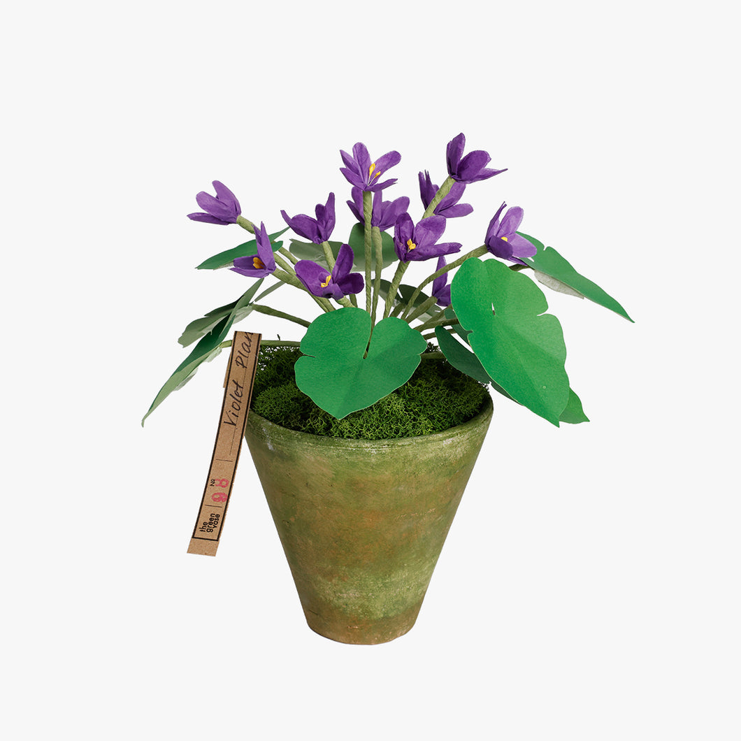 The Green Vase potted violet plant