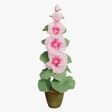 Load image into Gallery viewer, The Green Vase potted 5 bloom hollyhock