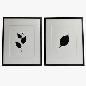 Melissa Meredith, 16" x 20" leaves