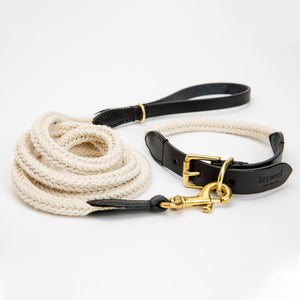 Big Woof cotton webbing and bridle leather dog collar