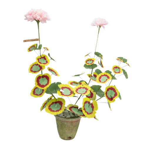 The Green Vase potted geranium