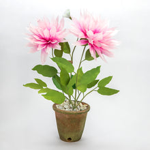 Load image into Gallery viewer, The Green Vase potted dahlia