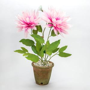 The Green Vase potted dahlia