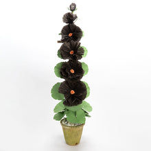 Load image into Gallery viewer, The Green Vase potted 6 bloom black hollyhock
