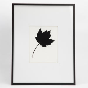 Melissa Meredith, 16" x 20" leaves