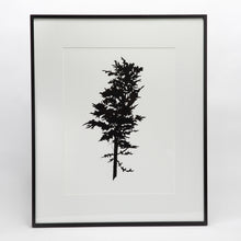 Load image into Gallery viewer, Melissa Meredith, trees, 20&quot; x 24&quot;