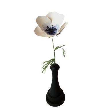 paper anemone flower