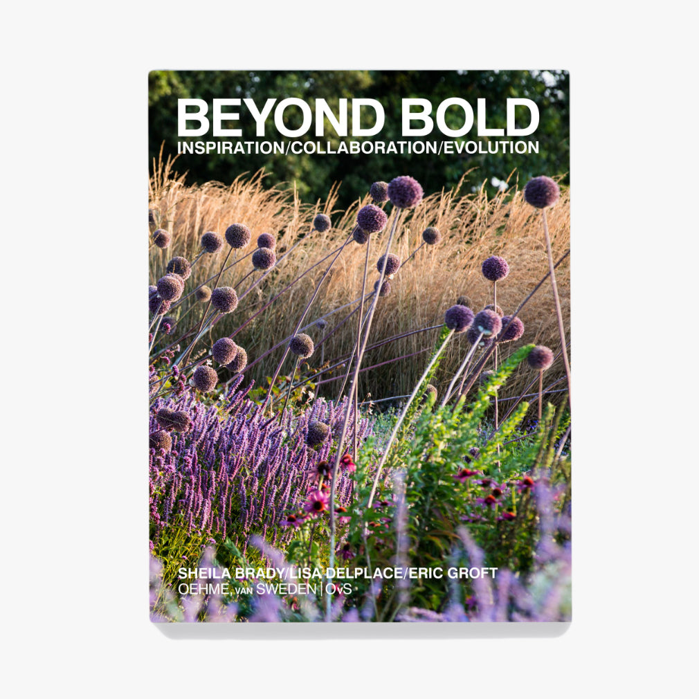 Beyond Bold: Inspiration, Collaboration, Evolution