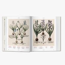 Load image into Gallery viewer, Florilegium: The Book of Plants