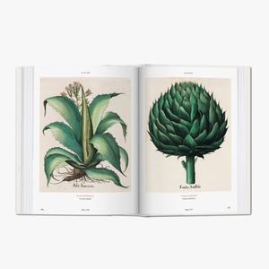 Florilegium: The Book of Plants