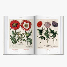 Load image into Gallery viewer, Florilegium: The Book of Plants