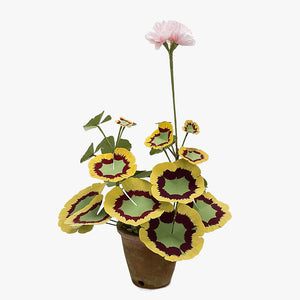 The Green Vase mini potted geranium