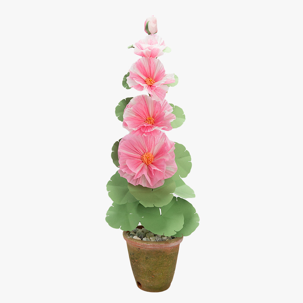 The Green Vase potted 5 bloom hollyhock